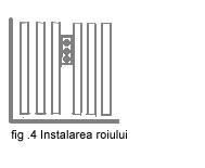 ROIURI DE ALBINE LA PACHET - FORMARE SI INSTALARE - zbye - INTRETINERE  ALBINE