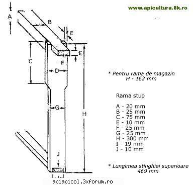 Schita stup vertical 10 rame + cat 1/2 - zbye - SCHITE   STUPI